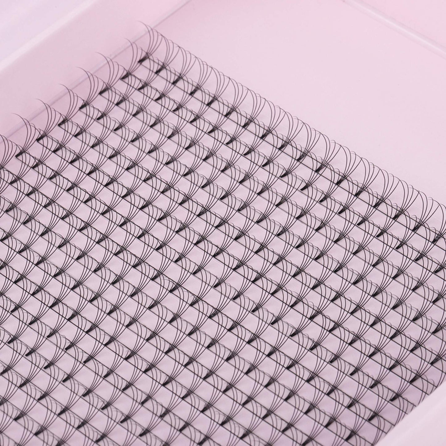 Miosh Eyelash Extensions - XL 4D Premade Volume Short Stem Lash 0.10 / D CURL