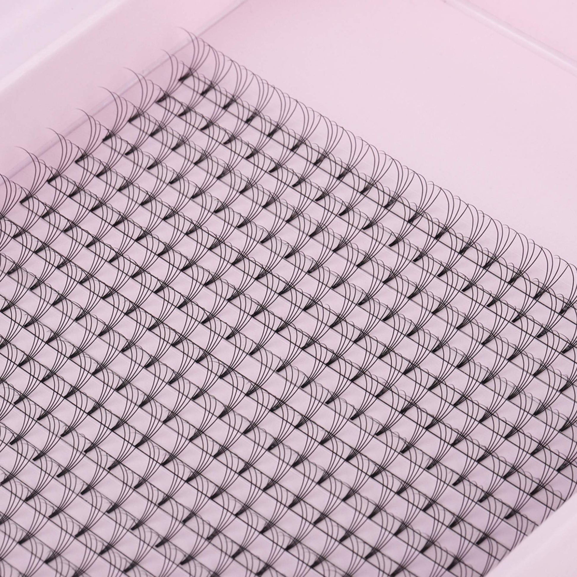 Miosh Eyelash Extensions - XL 4D Premade Volume Short Stem Lash 0.10 / D CURL