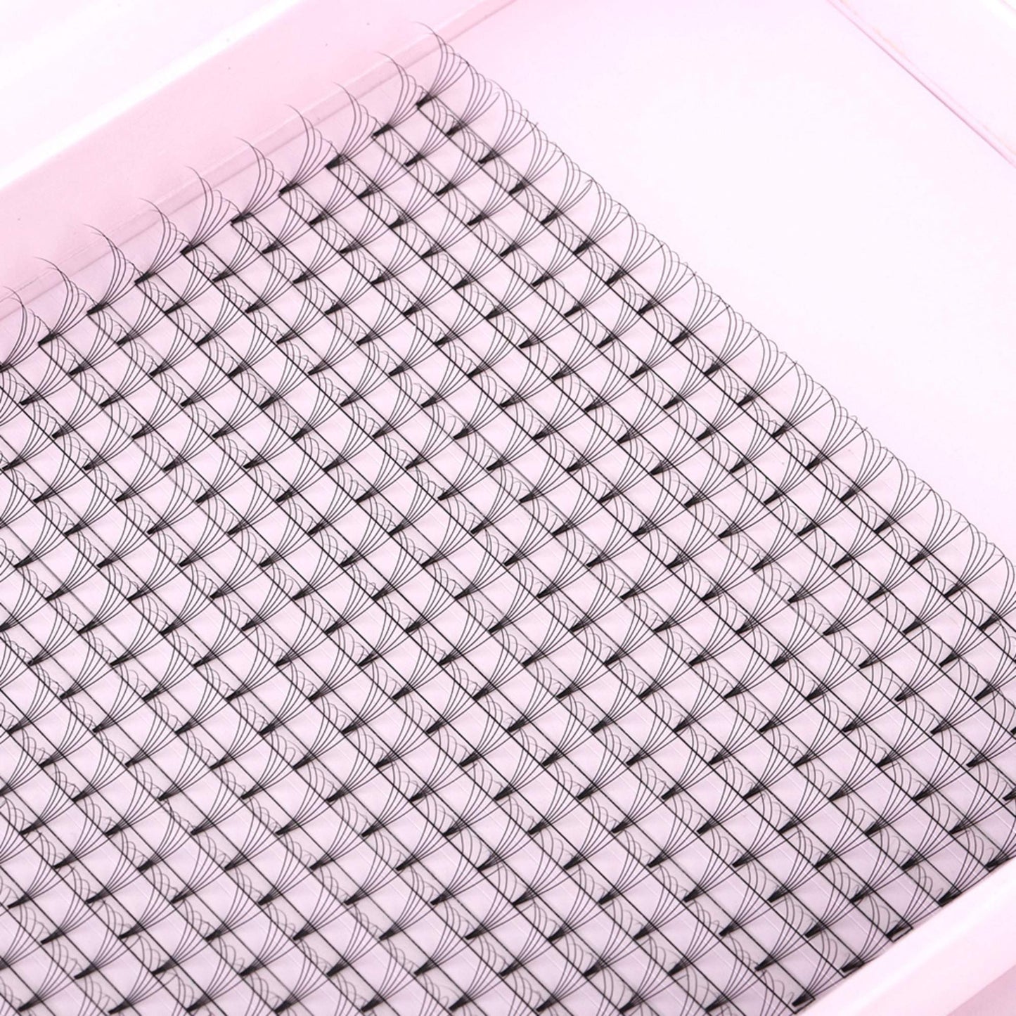 Miosh Eyelash Extensions - XL 5D Premade Volume Short Stem Lash 0.10 / D CURL