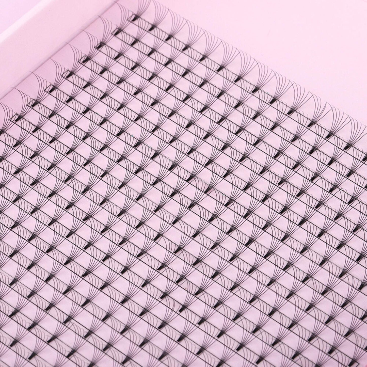 Miosh Eyelash Extensions - XL 6D Premade Volume Short Stem Lash 0.07 / D CURL