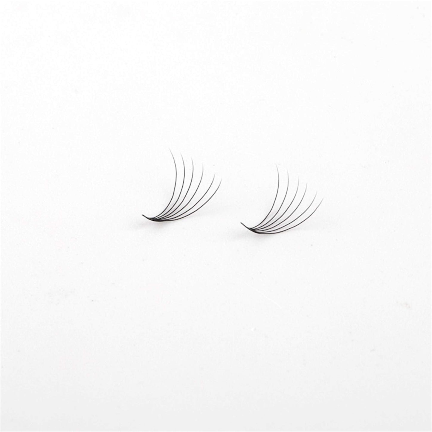 Miosh Eyelash Extensions - XL 6D Premade Volume Short Stem Lash 0.07 / D CURL