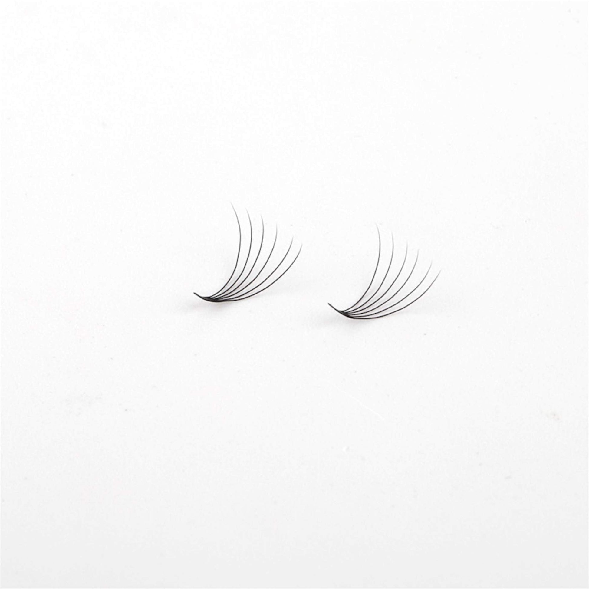 Miosh Eyelash Extensions - XL 6D Premade Volume Short Stem Lash 0.07 / D CURL