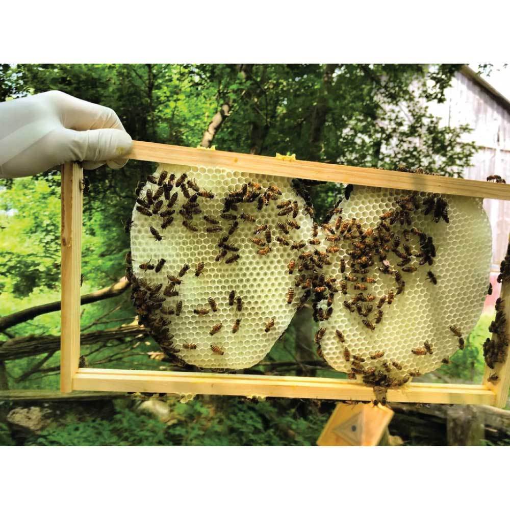 Orku Australian Beeswax Chunks - Pure Natural Unrefined Raw