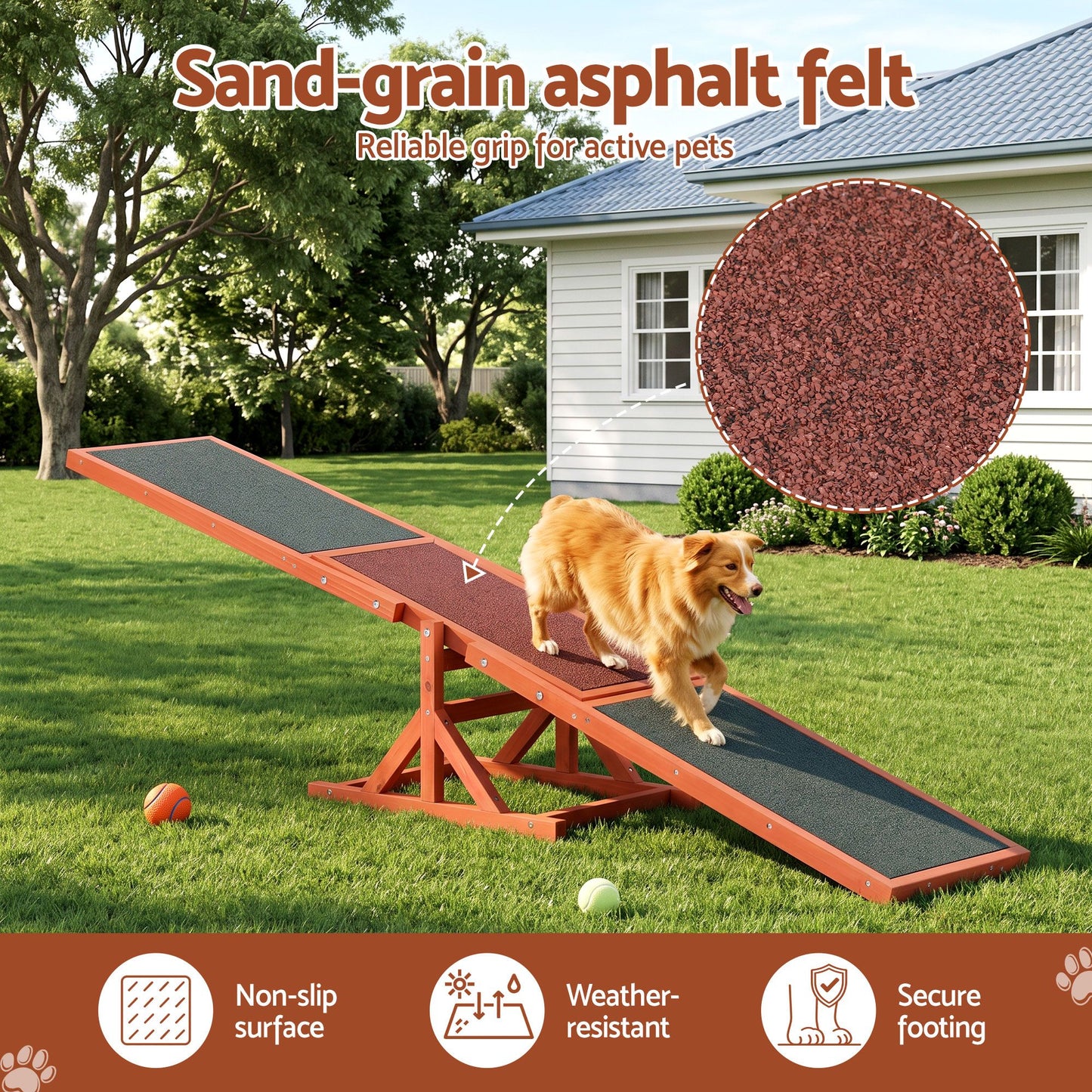 PET-AGILITY-180-BR-04.jpg