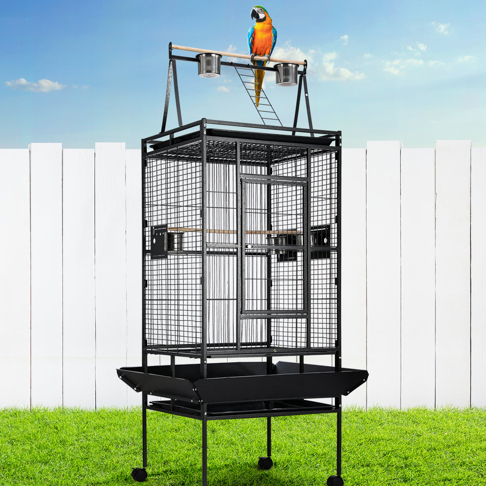 PET-BIRDCAGE-H173-202502281802-00.jpg