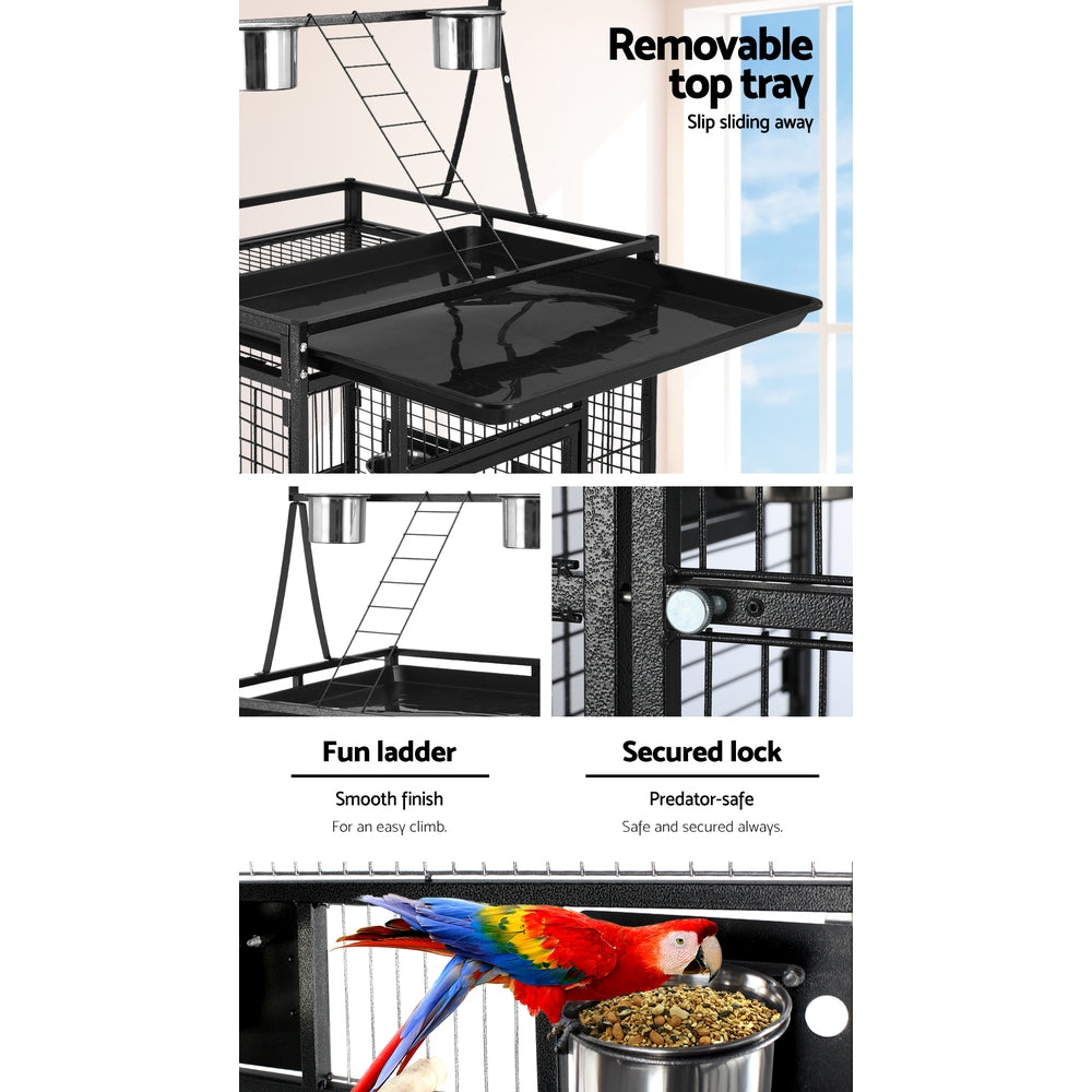 PET-BIRDCAGE-H173-202502281802-03.jpg