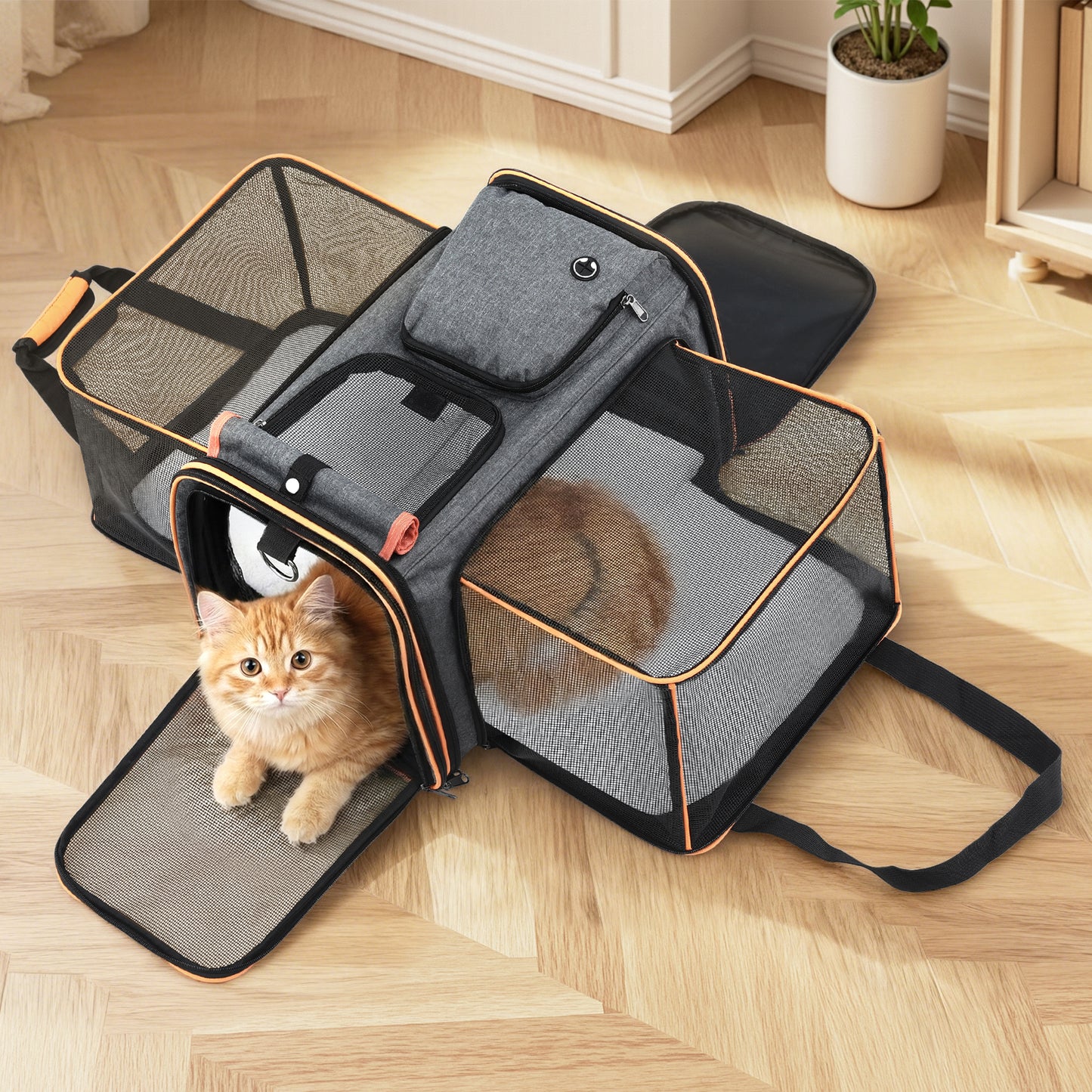 PET-CARRIER-ET48X30-OR-202512042052-06.jpg