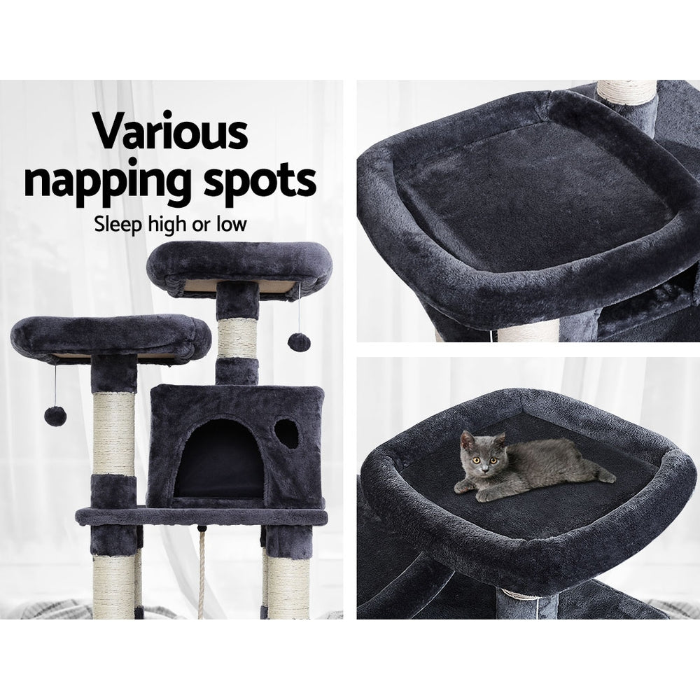 PET-CAT-706FSB-GR-22072-04.jpg