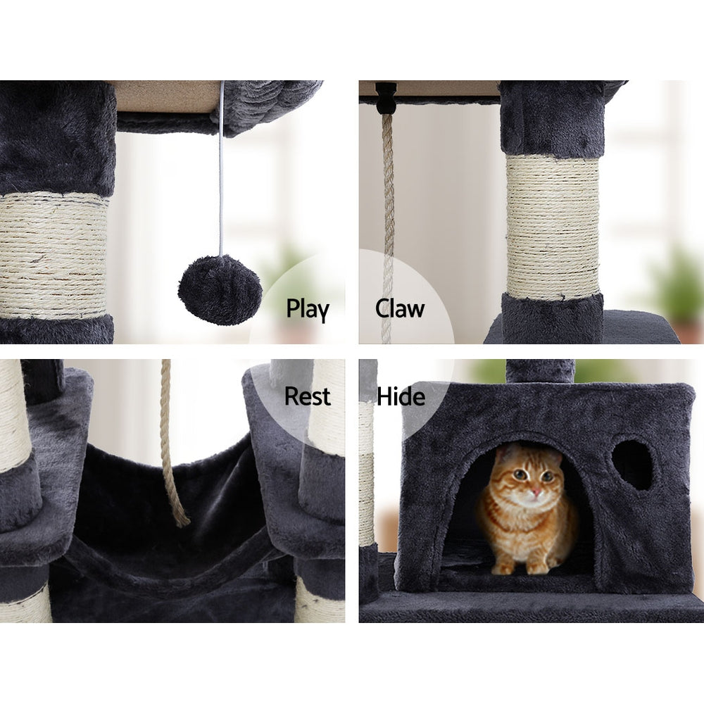 PET-CAT-706FSB-GR-22072-05.jpg