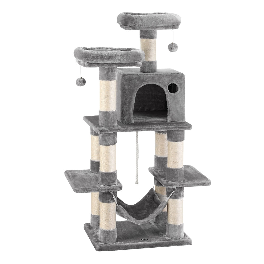 PET-CAT-706FSB-LTGR-202506111511-00.jpg