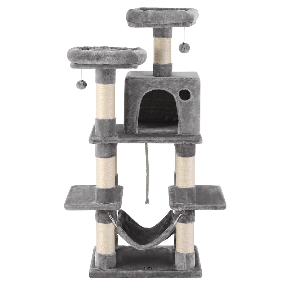 PET-CAT-706FSB-LTGR-202506111511-02.jpg