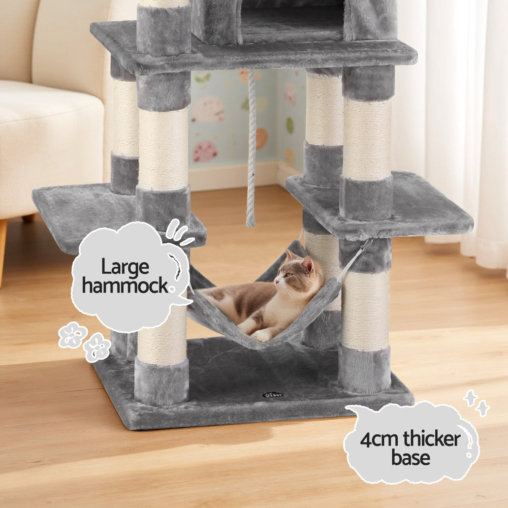 PET-CAT-706FSB-LTGR-202506111511-04.jpg