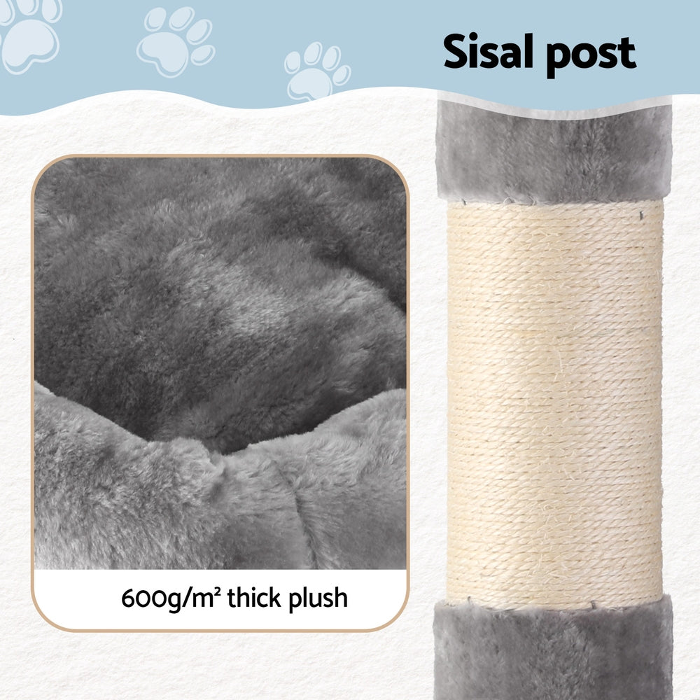 PET-CAT-706FSB-LTGR-202506111511-05.jpg