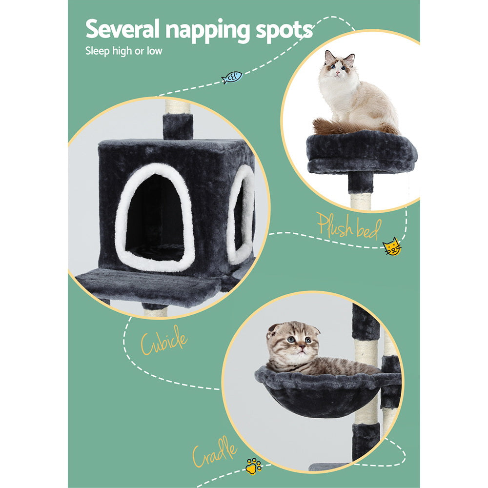 PET-CAT-706N-GR-87466-04.jpg