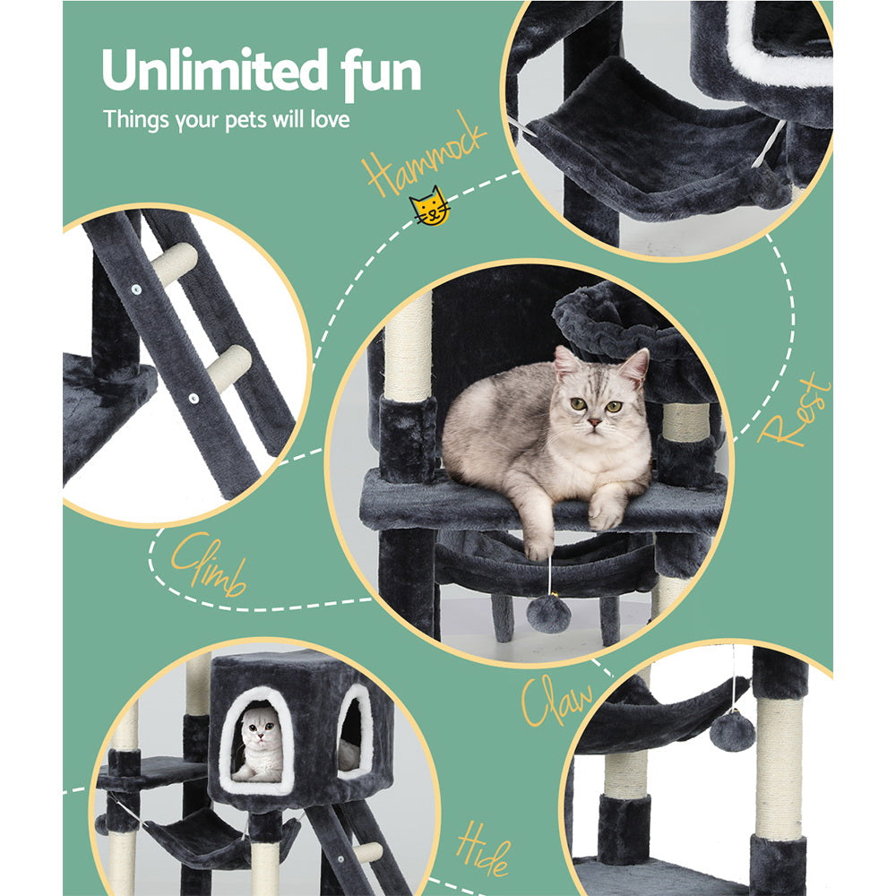 PET-CAT-706N-GR-87466-05.jpg