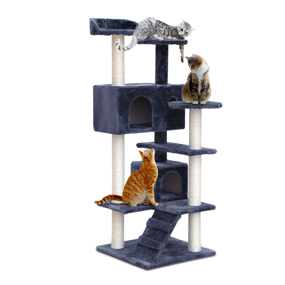 PET-CAT-801F-GR-5075-00.jpg