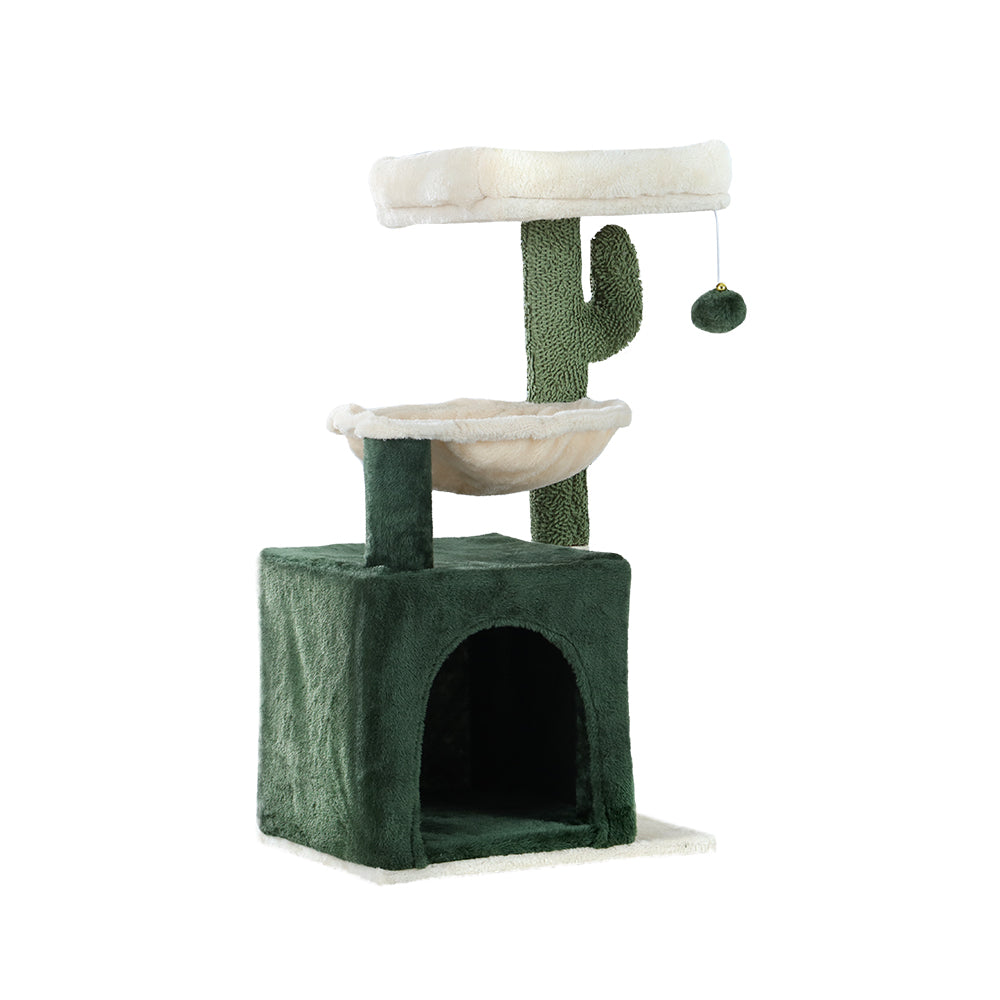PET-CAT-APS013-GN-48890-02.jpg