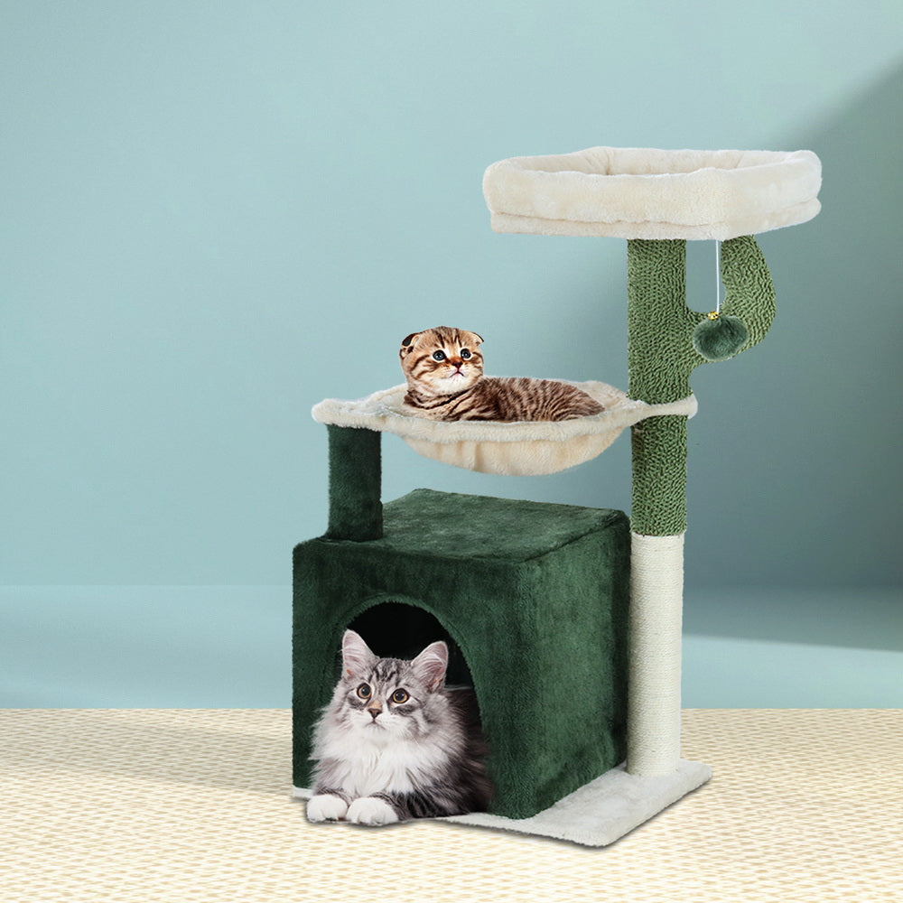PET-CAT-APS013-GN-48890-06.jpg