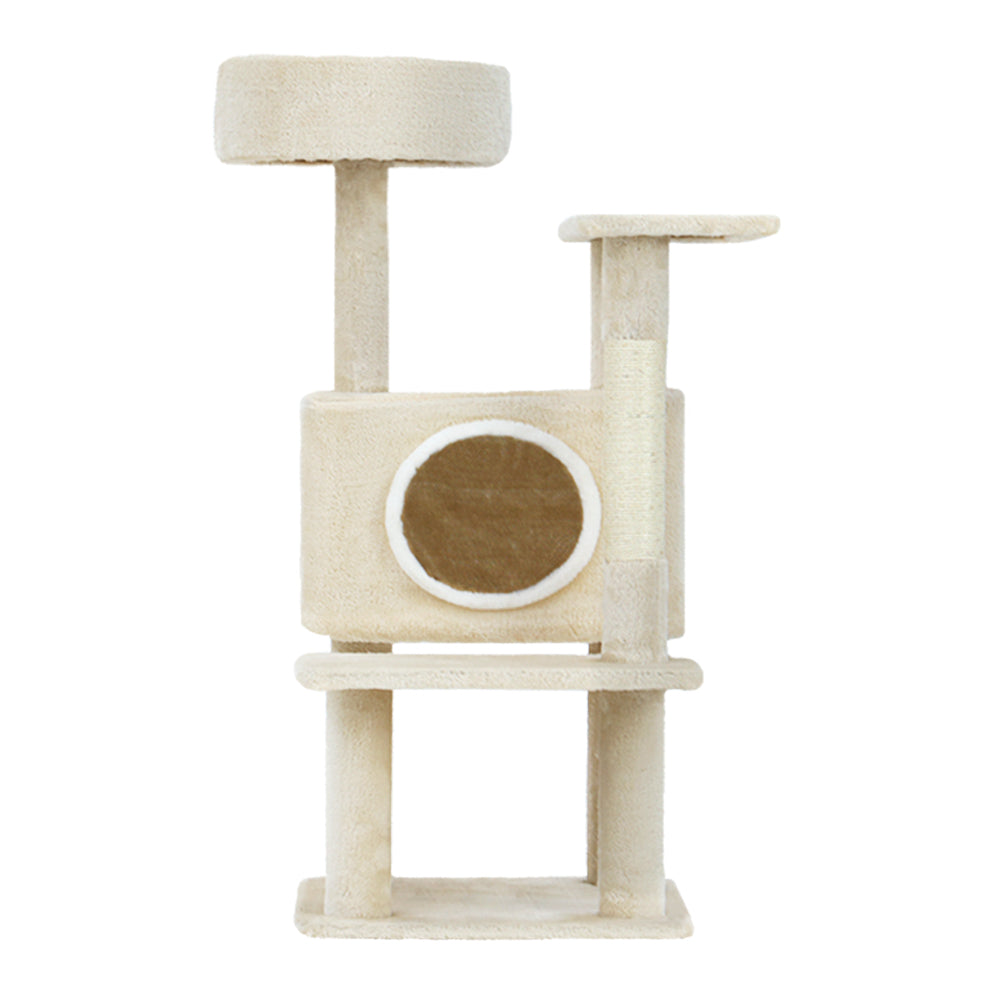 PET-CAT-APS014-BE-48891-02.jpg