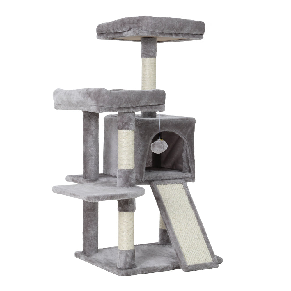 PET-CAT-APS018-GR-49354-02.jpg