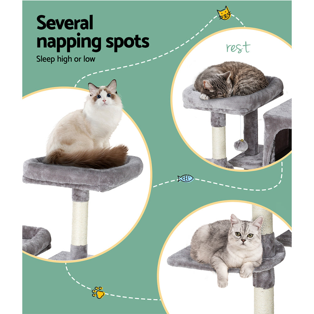 PET-CAT-APS018-GR-49354-05.jpg