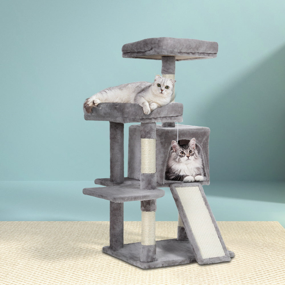PET-CAT-APS018-GR-49354-06.jpg