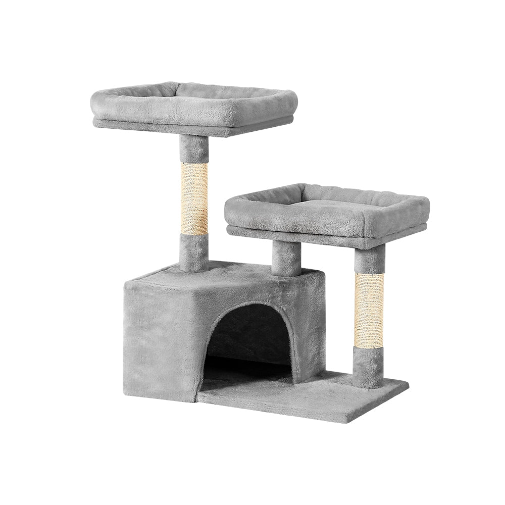 PET-CAT-APS019-GR-48892-00.jpg