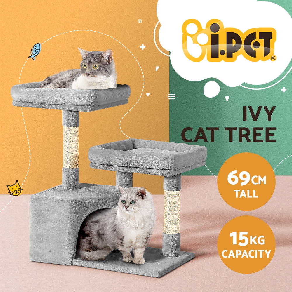 PET-CAT-APS019-GR-48892-02.jpg