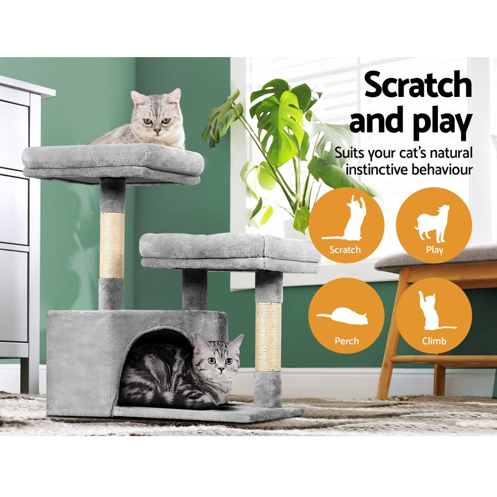PET-CAT-APS019-GR-48892-03.jpg
