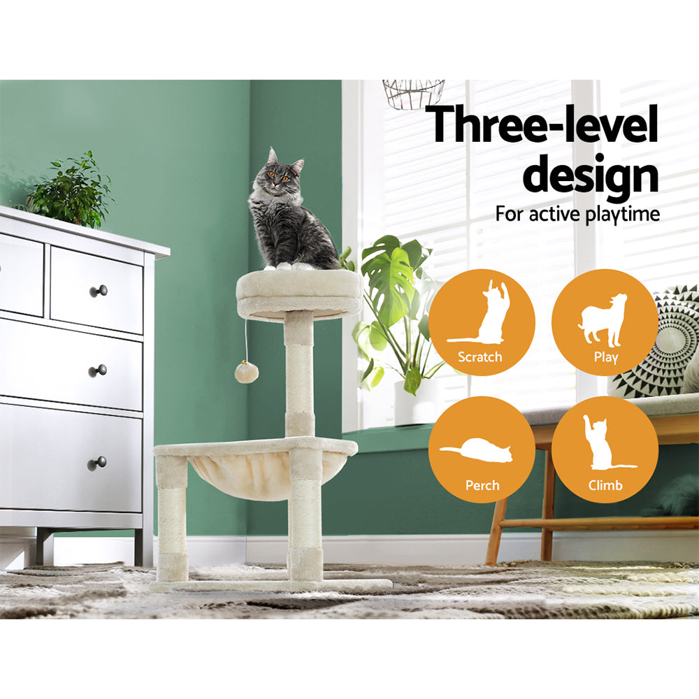 PET-CAT-APS02-BE-49352-03.jpg