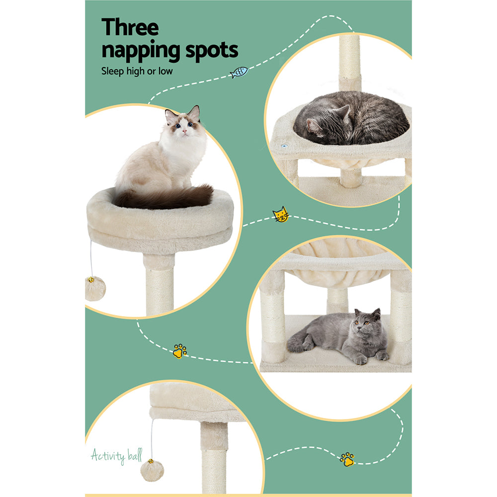 PET-CAT-APS02-BE-49352-05.jpg