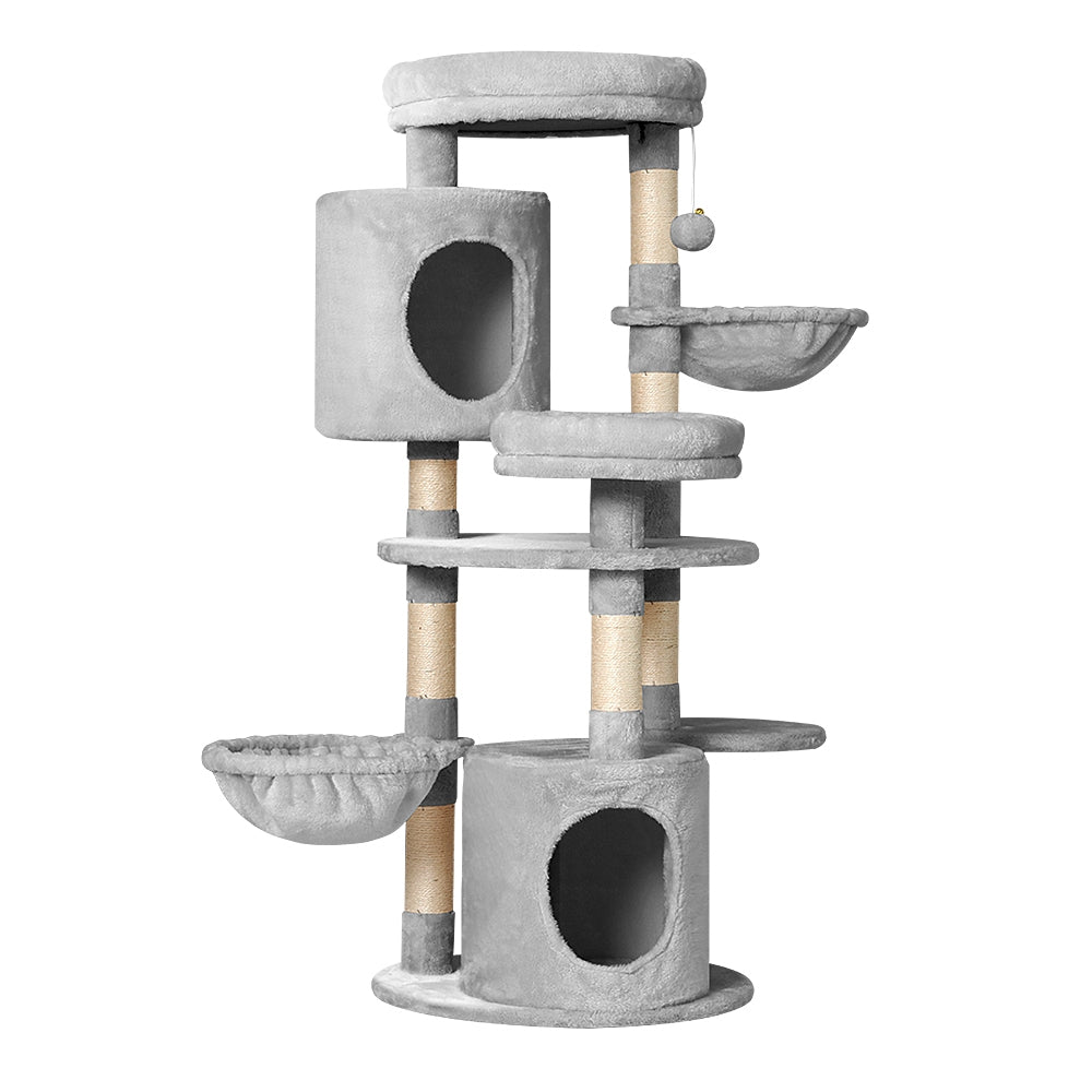 PET-CAT-APS020-GR-48893-00.jpg