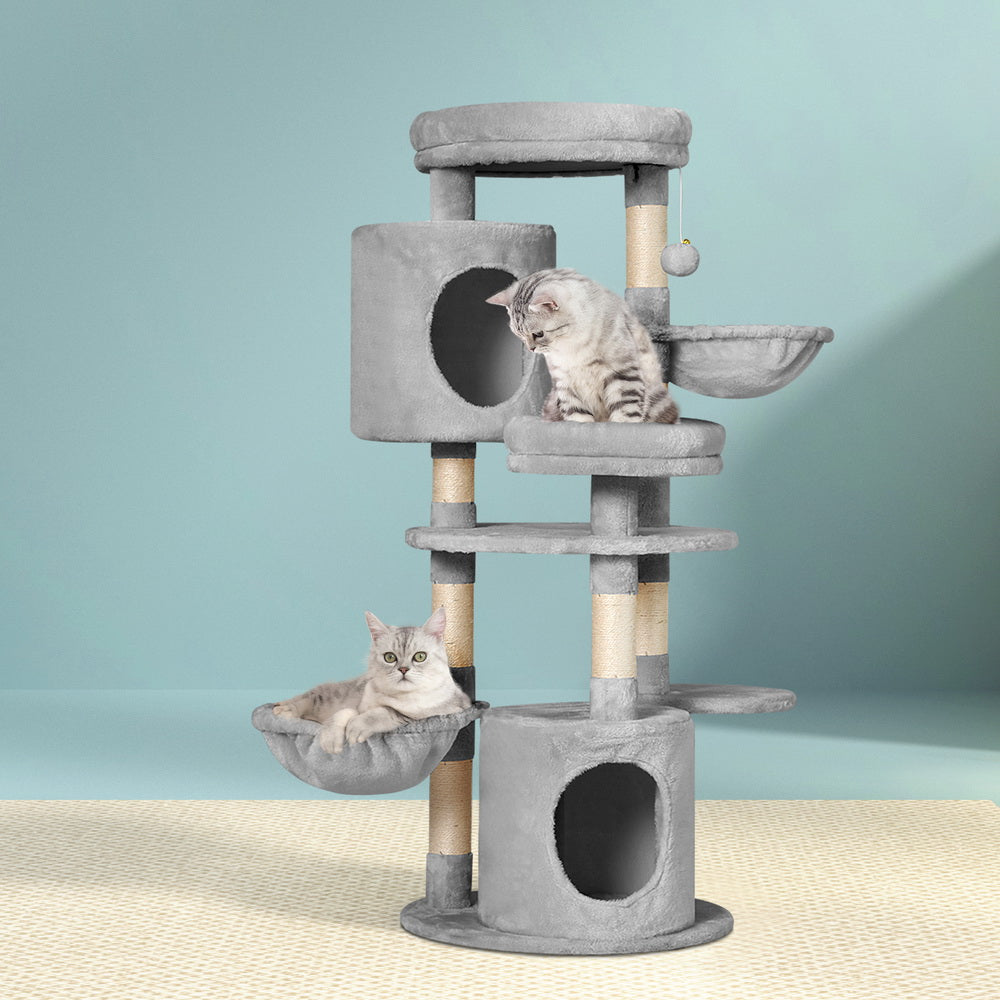 PET-CAT-APS020-GR-48893-07.jpg