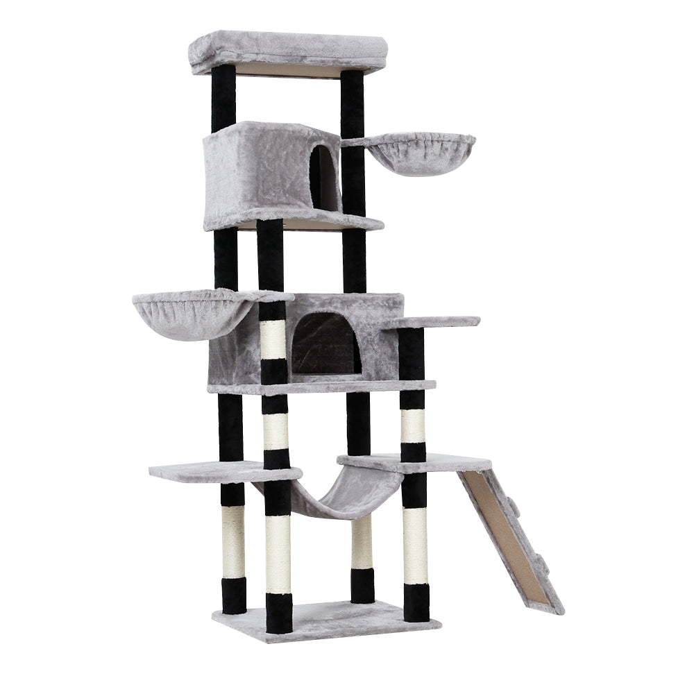 PET-CAT-APS021-GR-49426-02.jpg