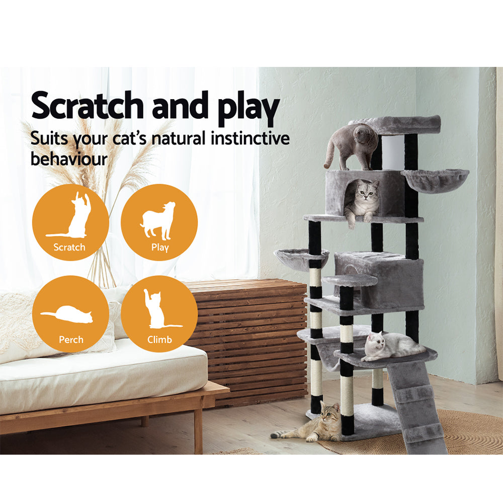 PET-CAT-APS021-GR-49426-03.jpg