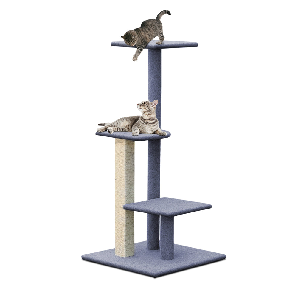 PET-CAT-CP001-GR-6370-00.jpg