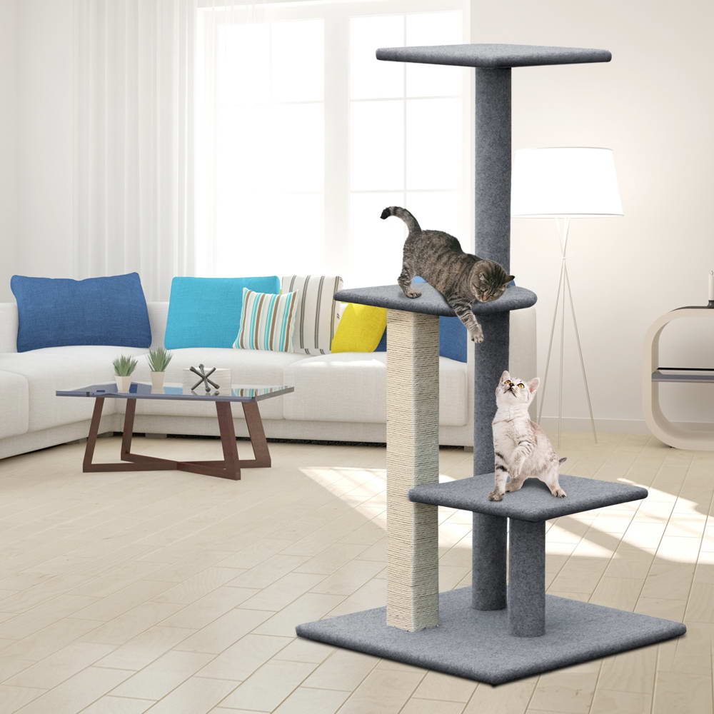 PET-CAT-CP001-GR-6370-06.jpg