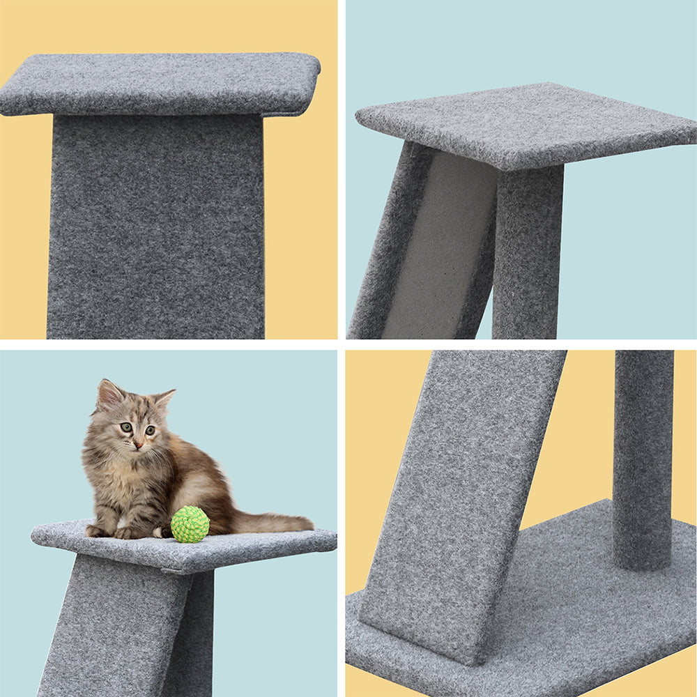 PET-CAT-CP002-GR-6366-04.jpg