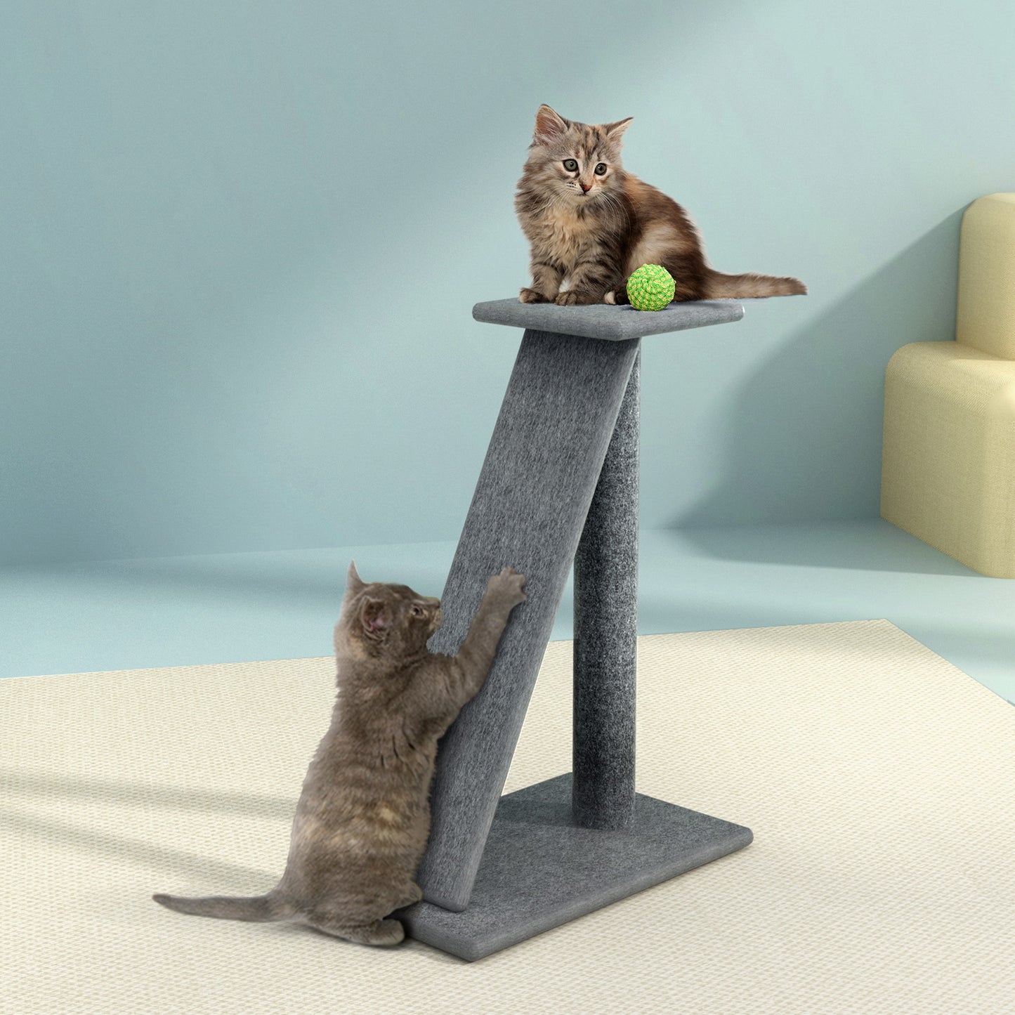 PET-CAT-CP002-GR-6366-07.jpg