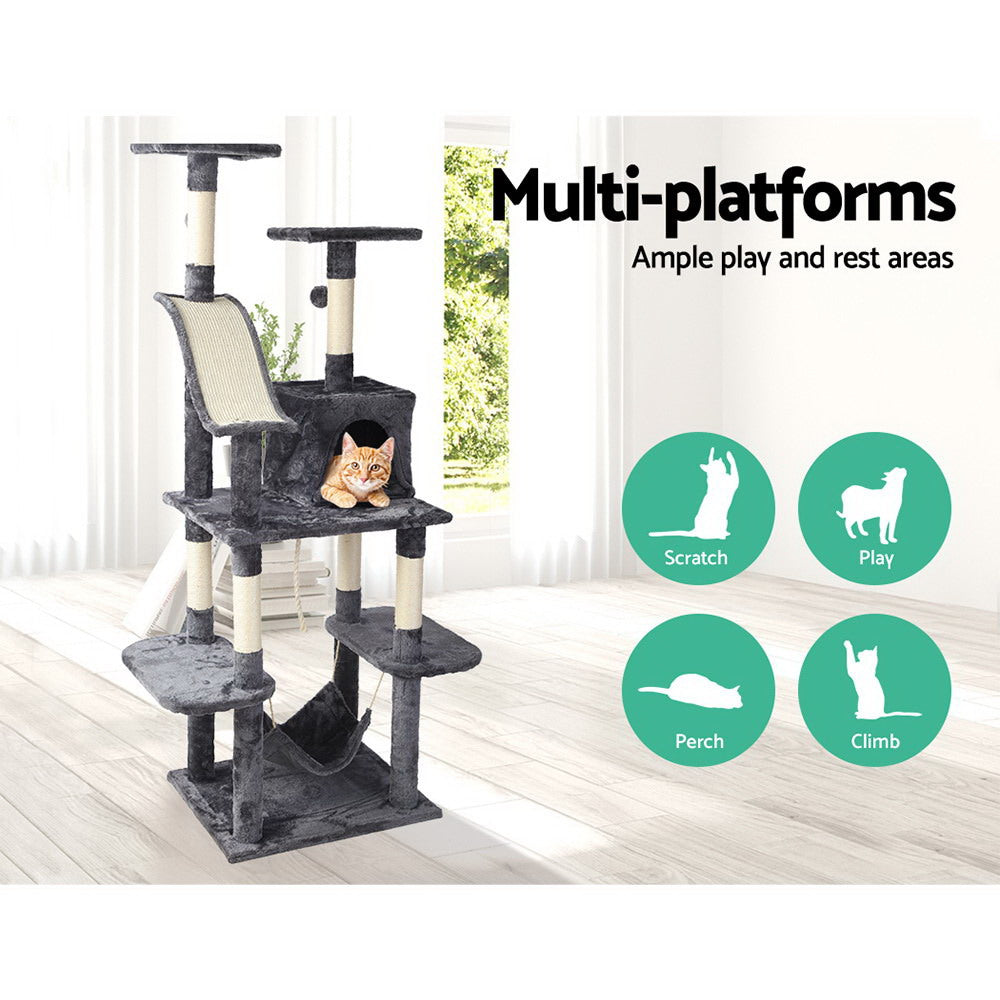 PET-CAT-FL010-GR-16825-02.jpg