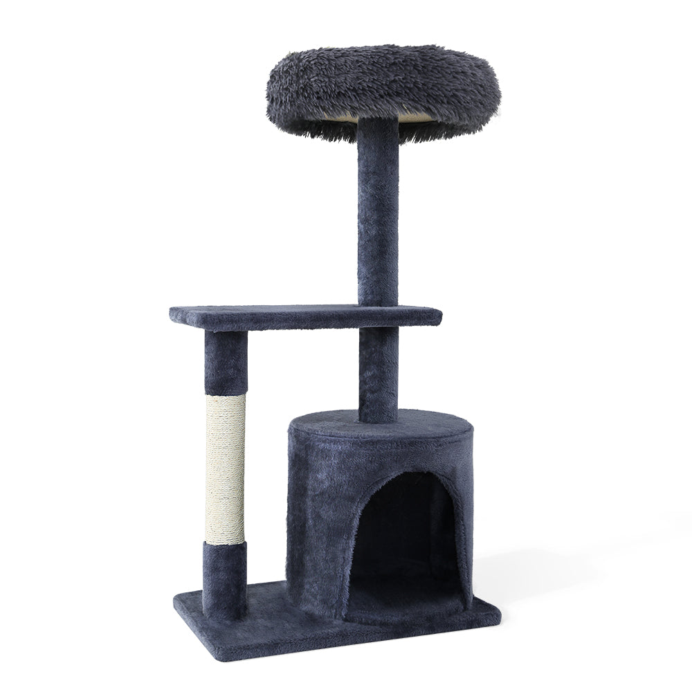 PET-CAT-FL015-4-GR-28856-00.jpg