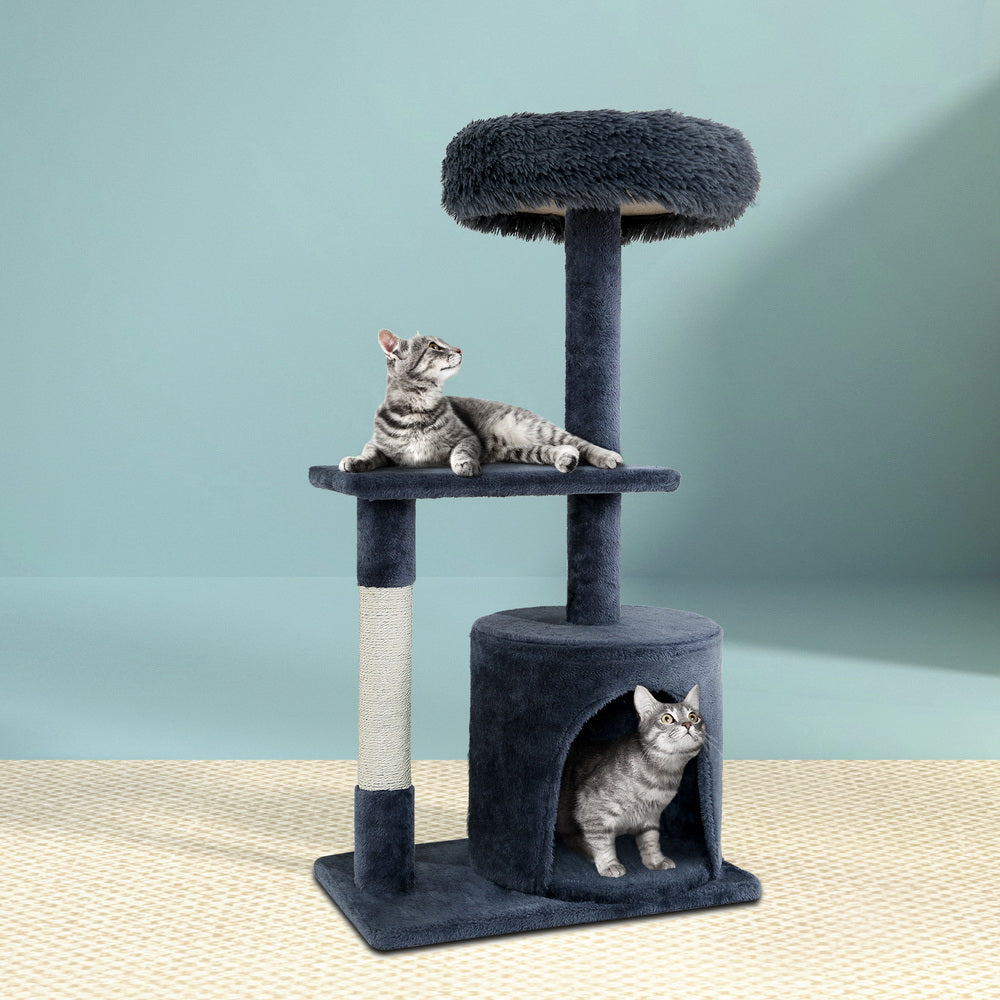PET-CAT-FL015-4-GR-28856-06.jpg