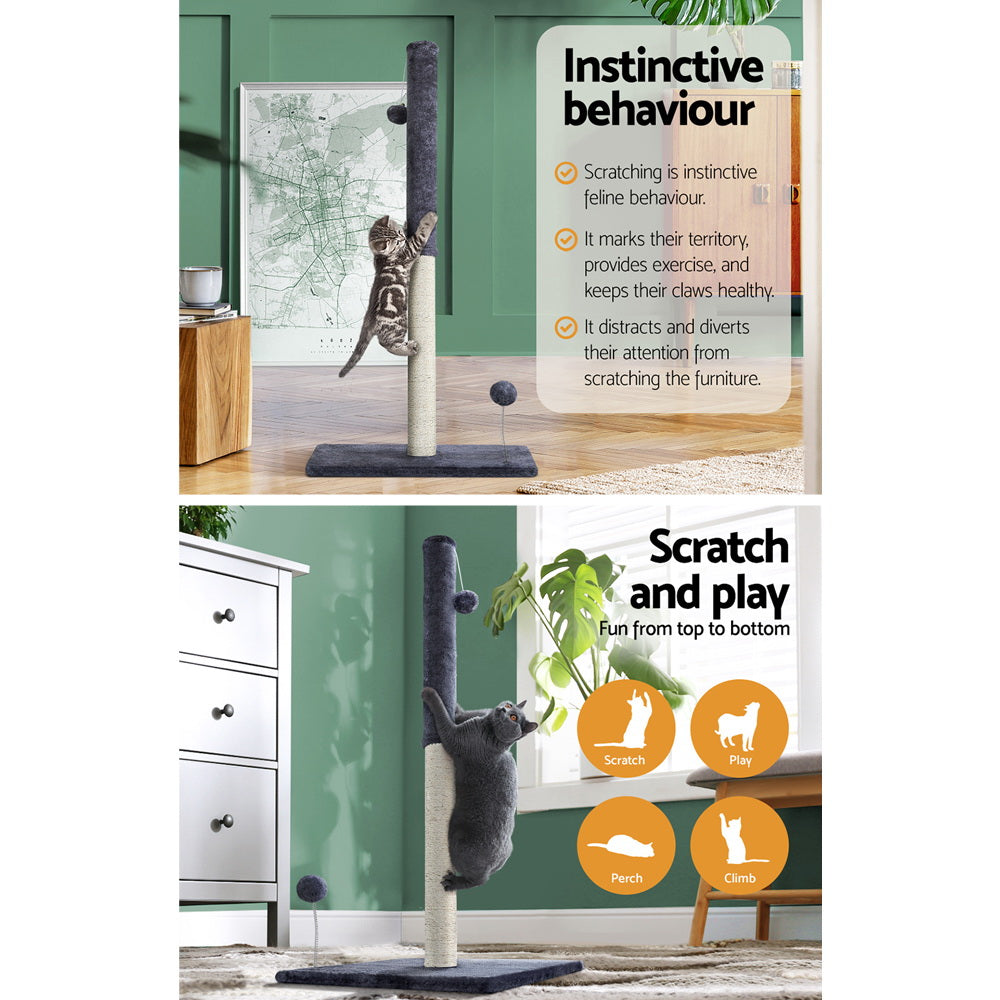 PET-CAT-FL016-2-GR-28857-03.jpg