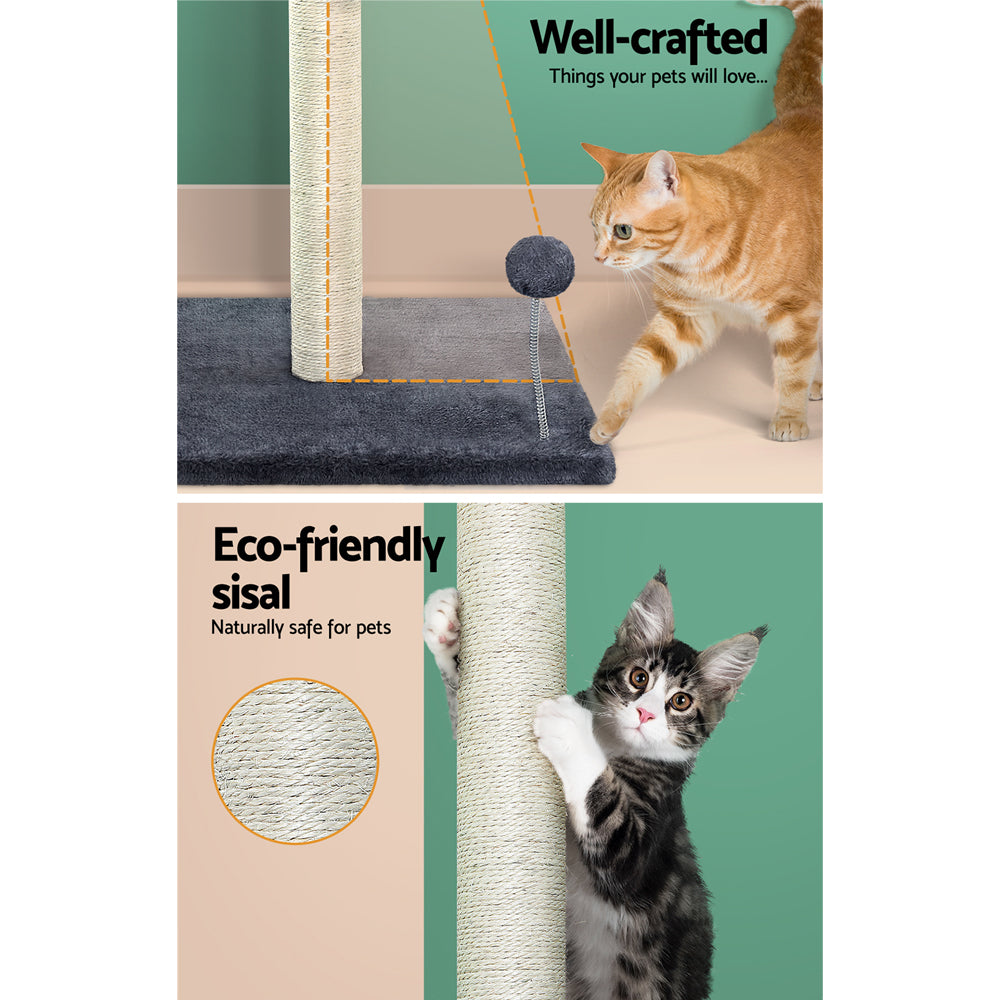 PET-CAT-FL016-2-GR-28857-04.jpg