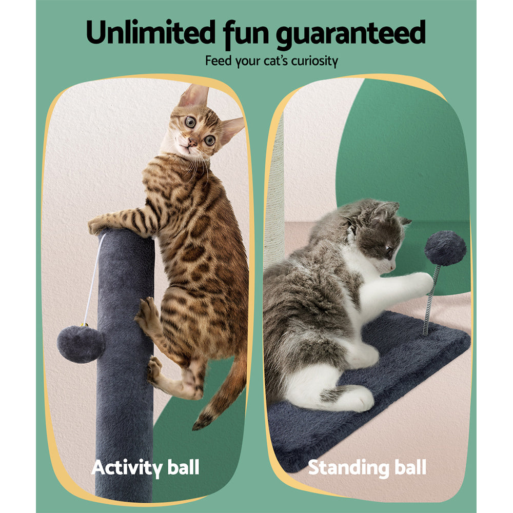 PET-CAT-FL016-2-GR-28857-05.jpg