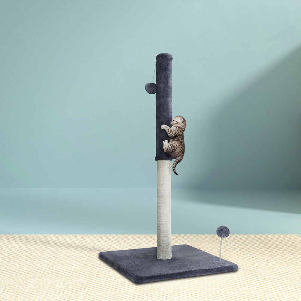 PET-CAT-FL016-2-GR-28857-06.jpg