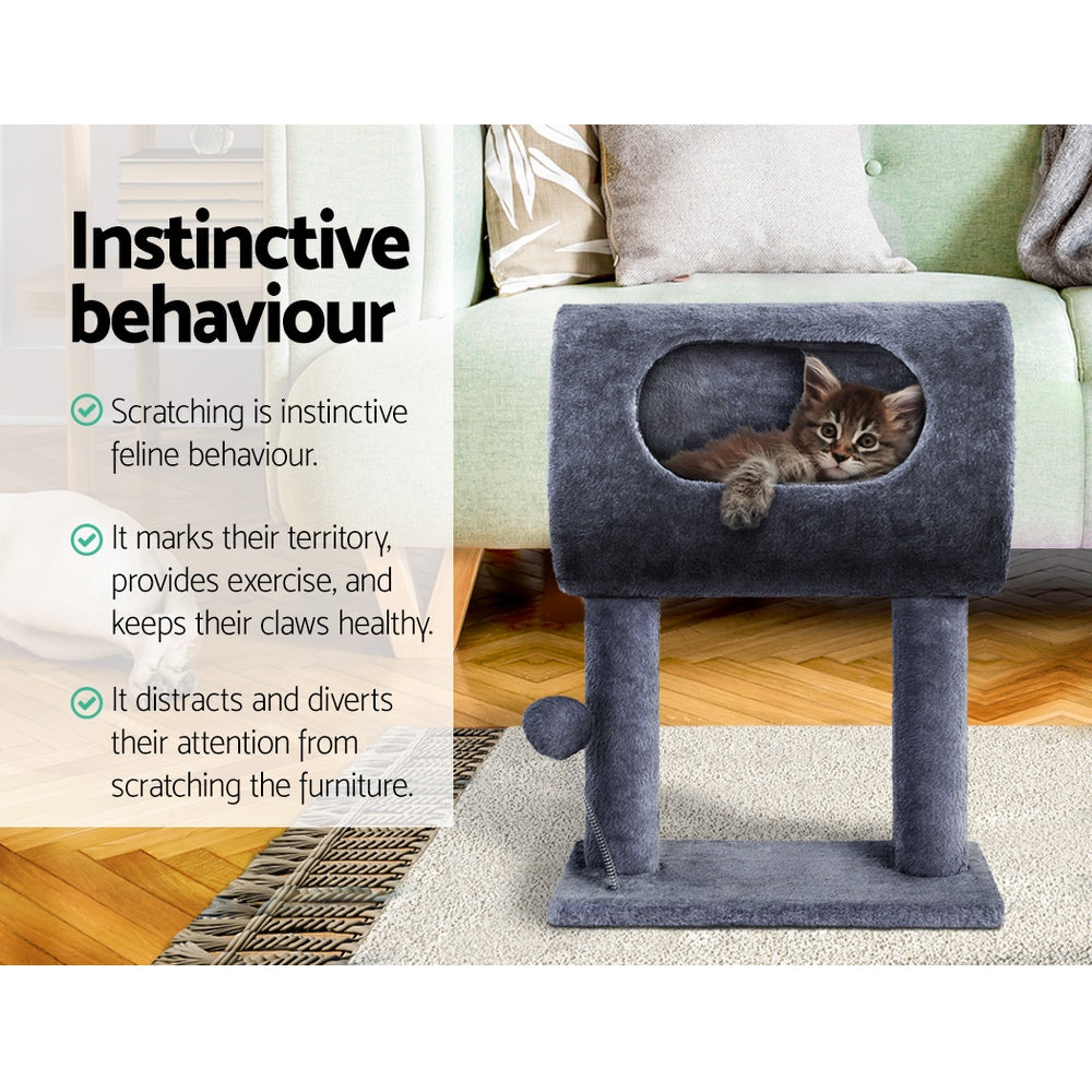 PET-CAT-FL019-1-GR-30811-03.jpg