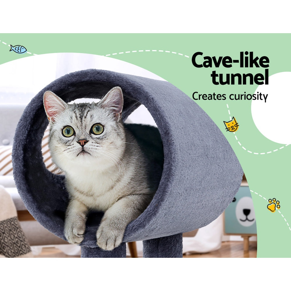 PET-CAT-FL019-1-GR-30811-04.jpg