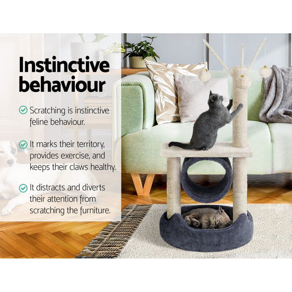 PET-CAT-FL024-GR-30812-03.jpg