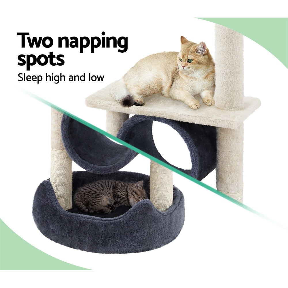 PET-CAT-FL024-GR-30812-04.jpg